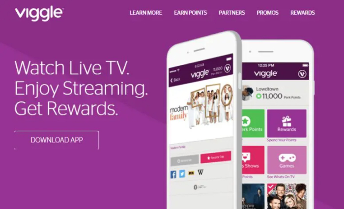Viggle