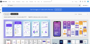 Adobe Stock Images | how to sell pictures