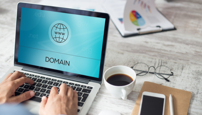 buy and sell domains | earn money online without investment