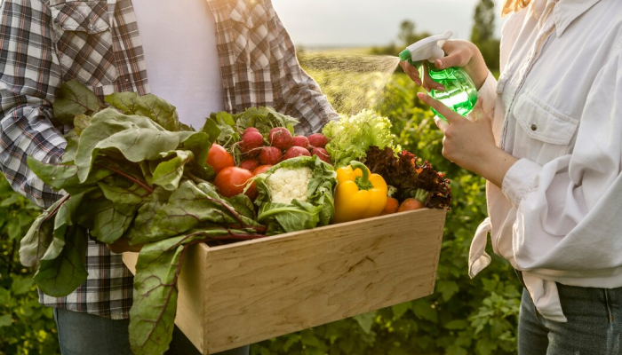 Organic Farming and Agribusiness-small business ideas in hyderabad