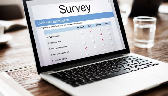 Online Surveys | how to make money without any investment