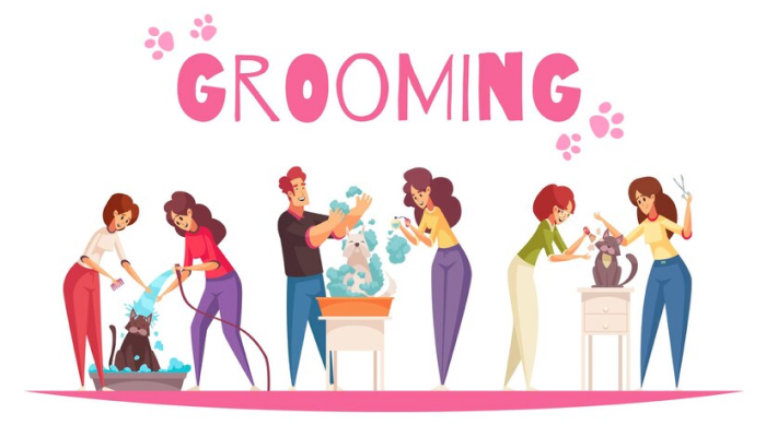 Pet Grooming-best business ideas in chennai