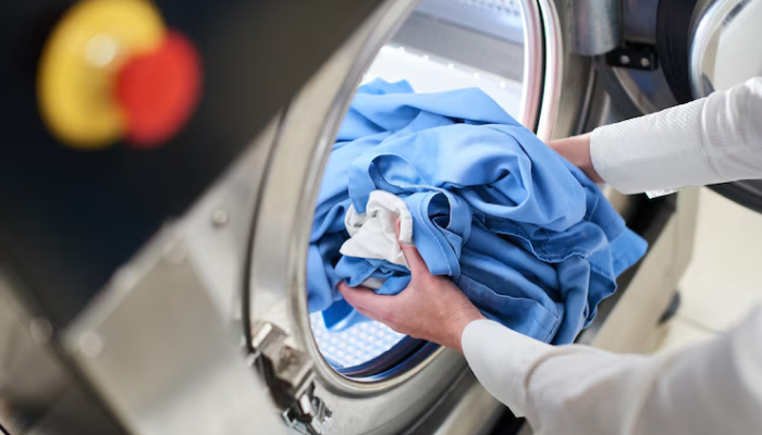 Laundry Care Service-business ideas in chennai