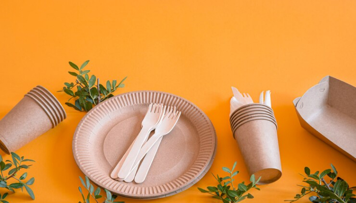 Disposable Plates Business-which business is best in chennai