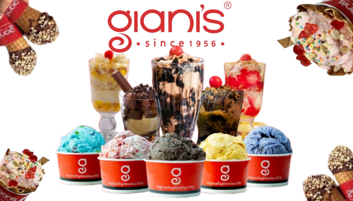Giani’s Ice Cream-ice cream franchise india