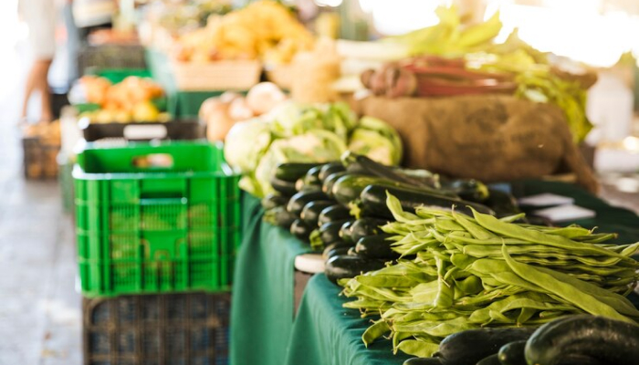 Organic Food Supply-best business ideas in delhi