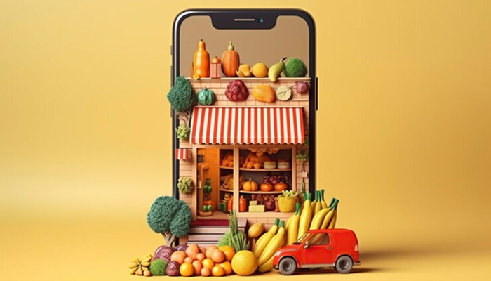 Online Grocery-business under 50000