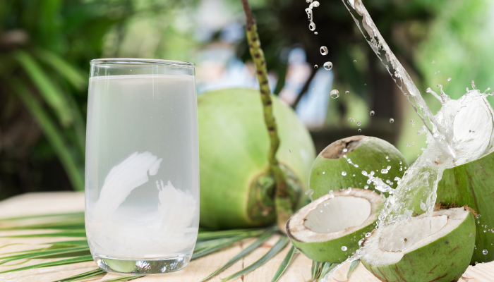 coconut business plan