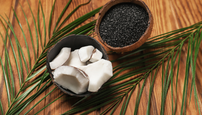 coconut business ideas