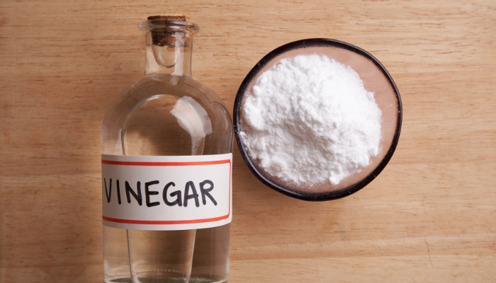 how to start coconut business