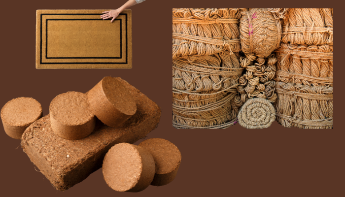 coconut business ideas